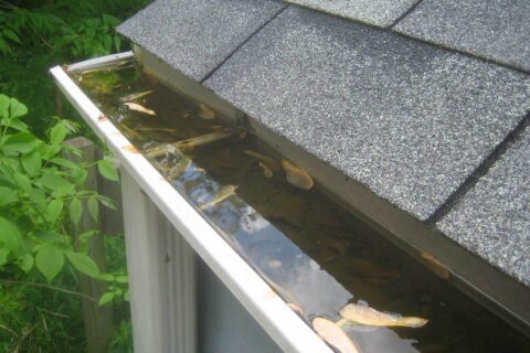 Gutters Unblocked & Cleaned