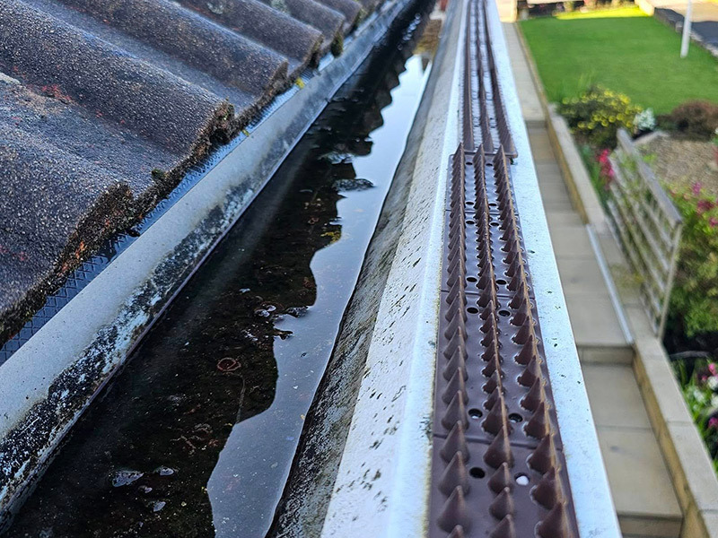 Blocked Gutter